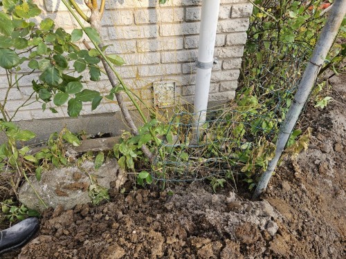 Klik på billedet for at se det i større format