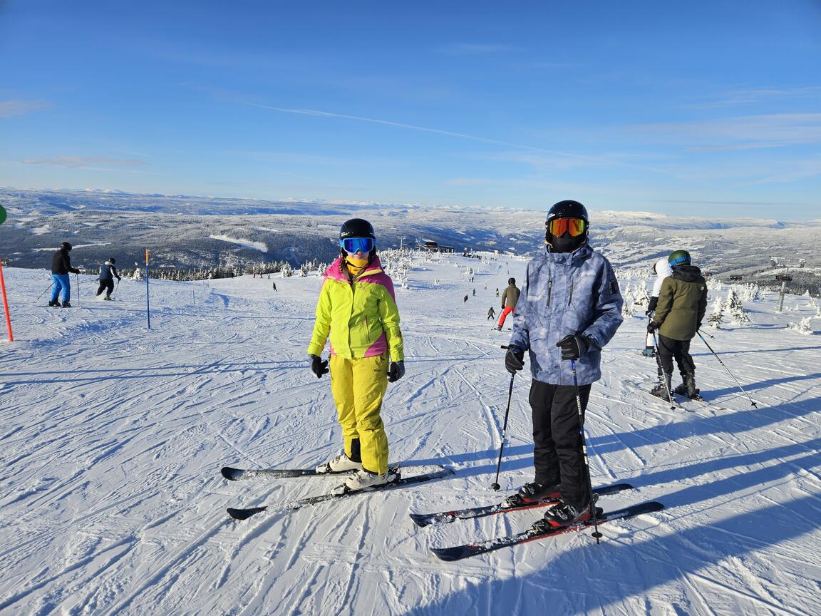 Klik på billedet for at lukke vinduet