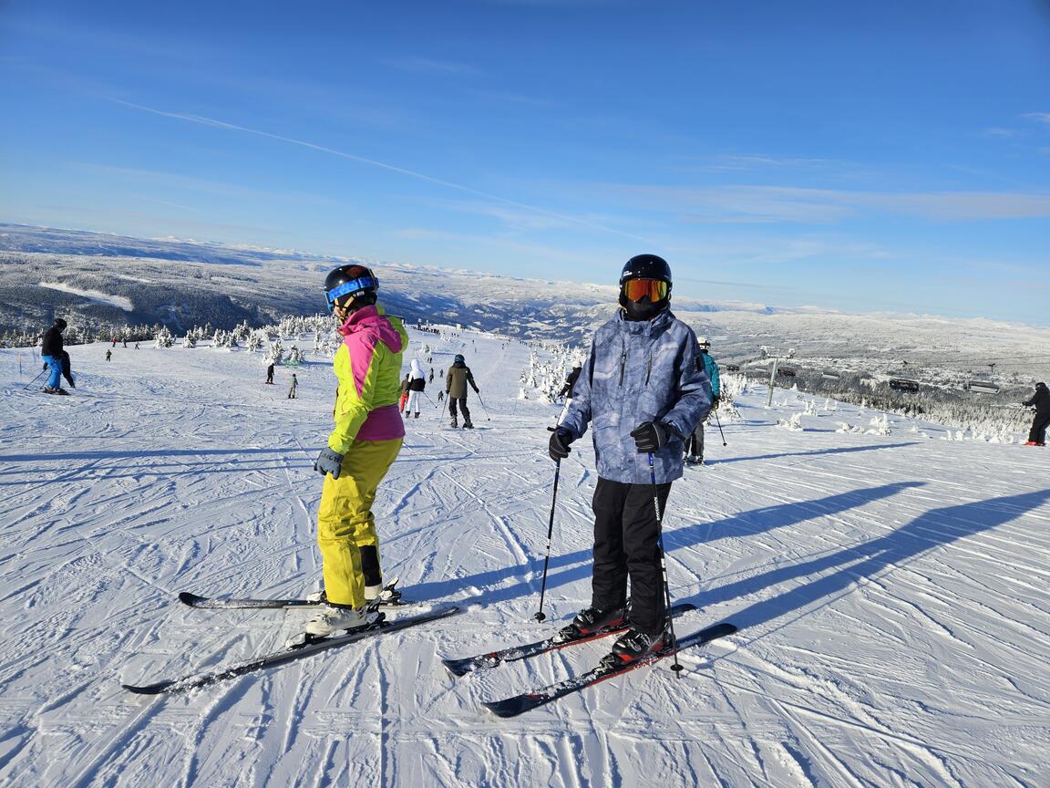 Klik på billedet for at lukke vinduet