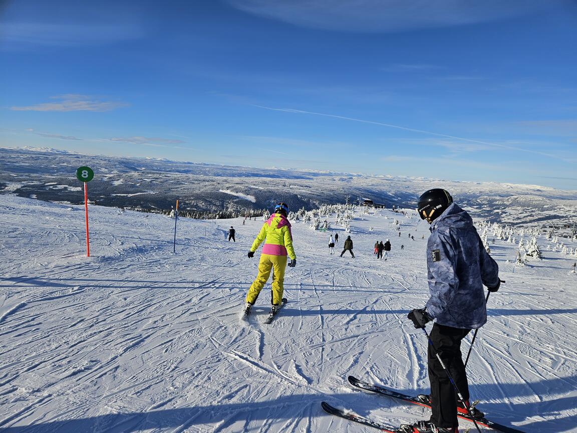 Klik på billedet for at lukke vinduet