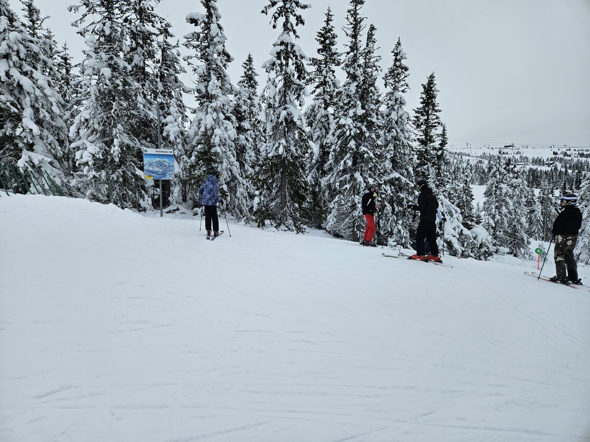 Klik på billedet for at lukke vinduet