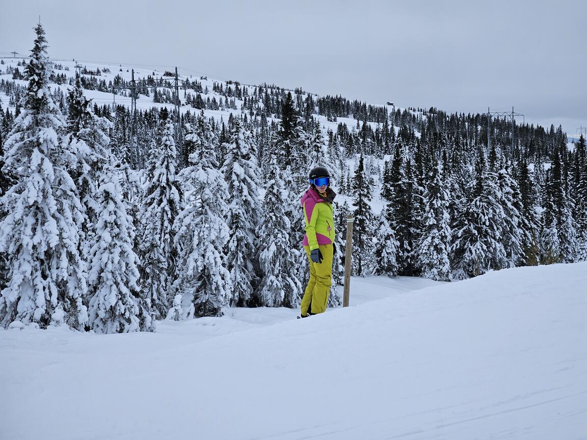 Klik på billedet for at lukke vinduet