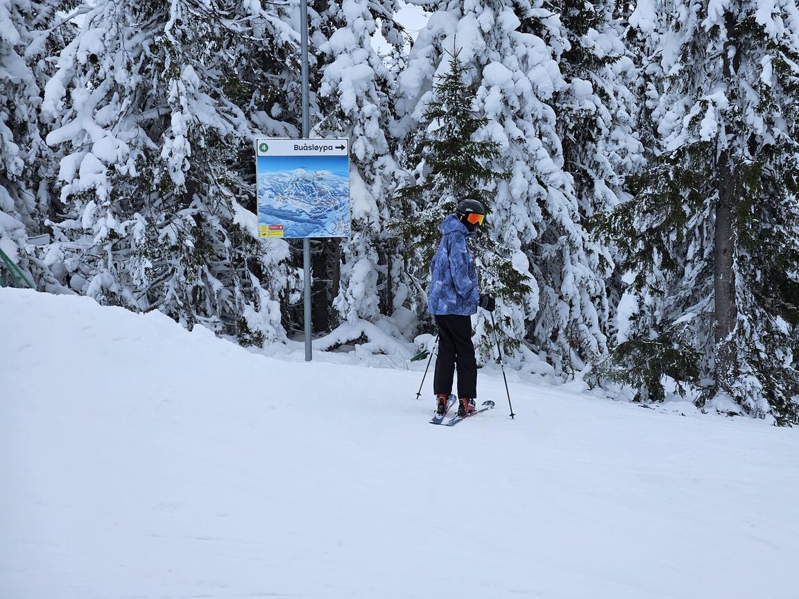 Klik på billedet for at lukke vinduet