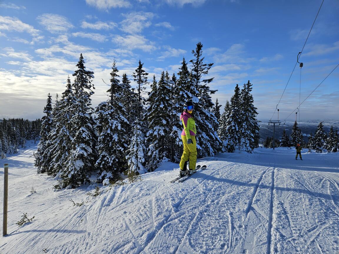 Klik på billedet for at lukke vinduet