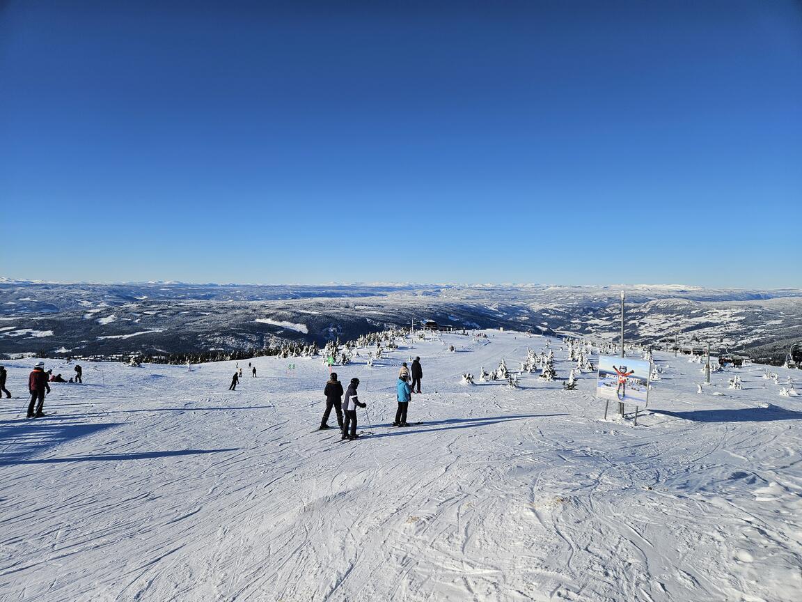 Klik på billedet for at lukke vinduet