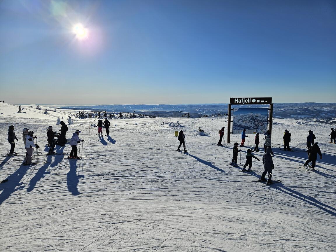 Klik på billedet for at lukke vinduet