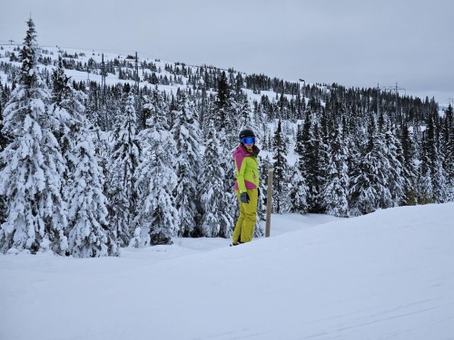 Klik på billedet for at se det i større format