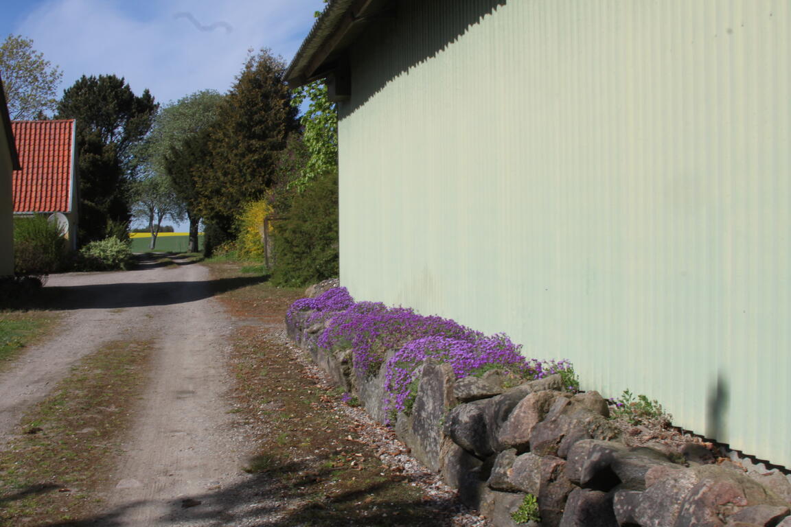 Klik på billedet for at lukke vinduet
