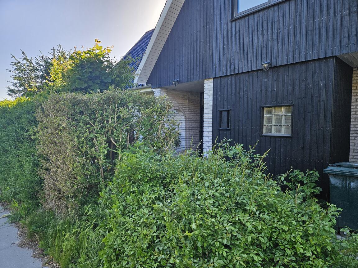 Klik på billedet for at lukke vinduet