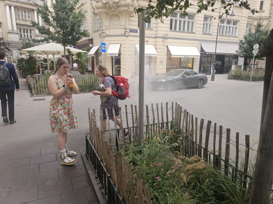Klik på billedet for at lukke vinduet