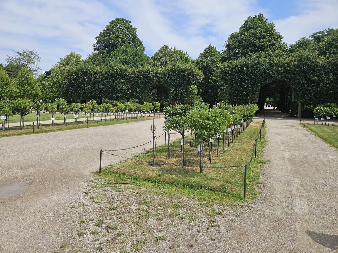 Klik på billedet for at lukke vinduet
